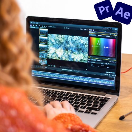 Formation montage vidéo, Formation-montage-video-en-ligne-formation-monteur-video-a-distance